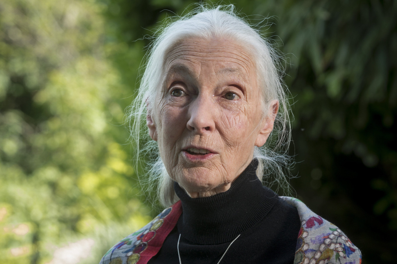 Jane Goodall  Kép: MTI/Szigetváry Zsolt