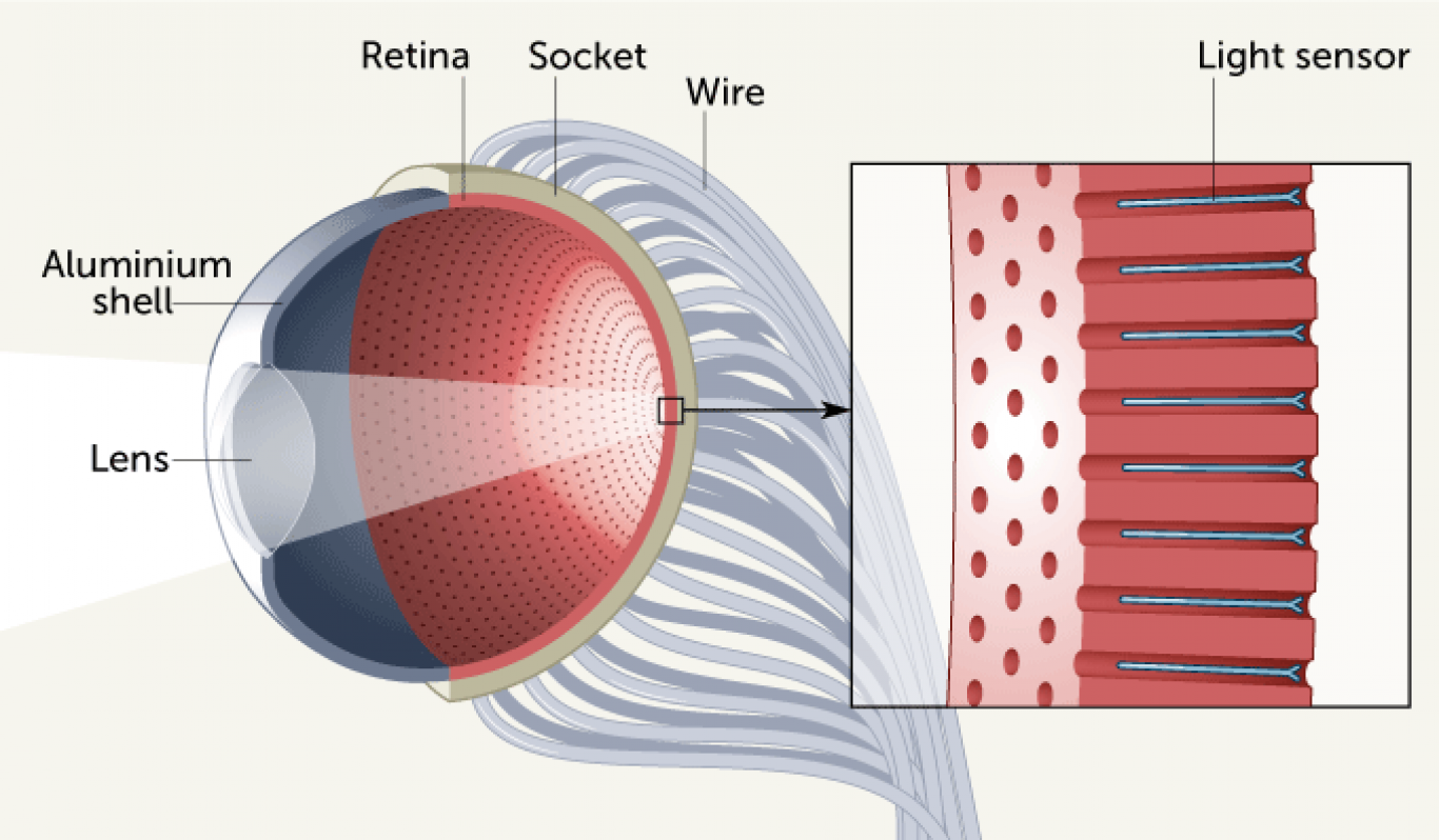 Az emberi szemnél is jobb bionikus szemet alkottak - NEW technology