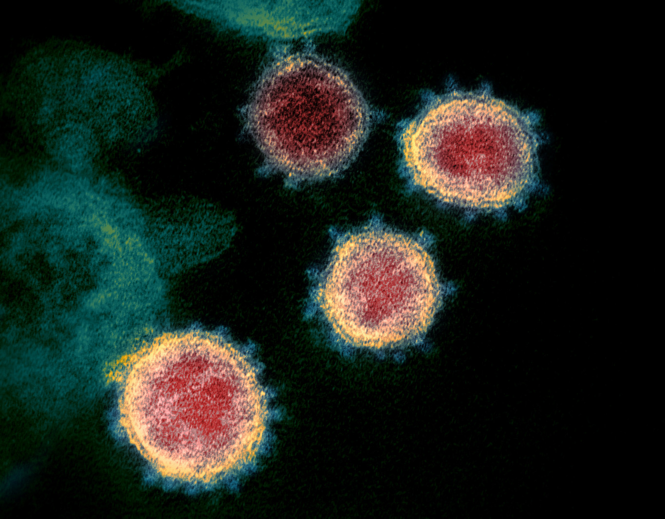 Több országban is kisebb pánikot keltett a koronavírus újonnan megjelent variánsa, a B.1.1.529 – Qubit